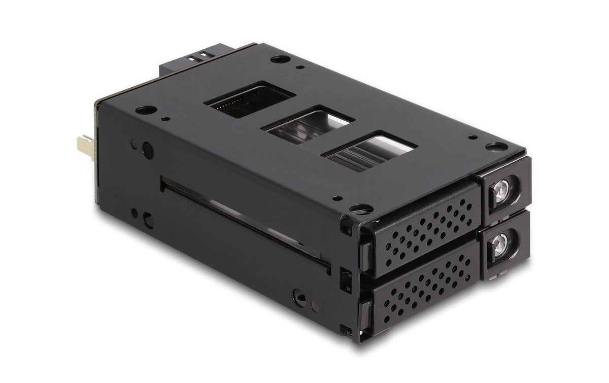 Delock Slim Bay Wechselrahmen für 2x2.5 U.2 NVMe SSD