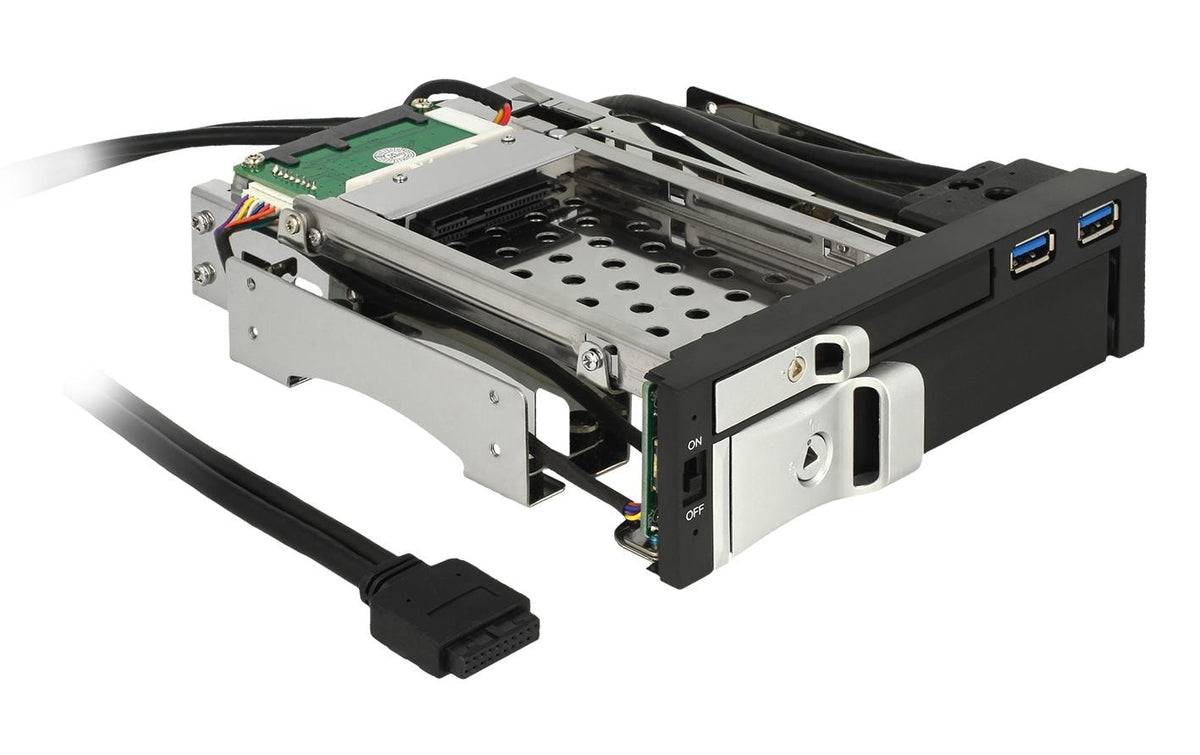 Delock HDD Einbausatz, 1x2.5&3.5, 2xUSB3 schwarz, Hot-Swap, abschliessbar